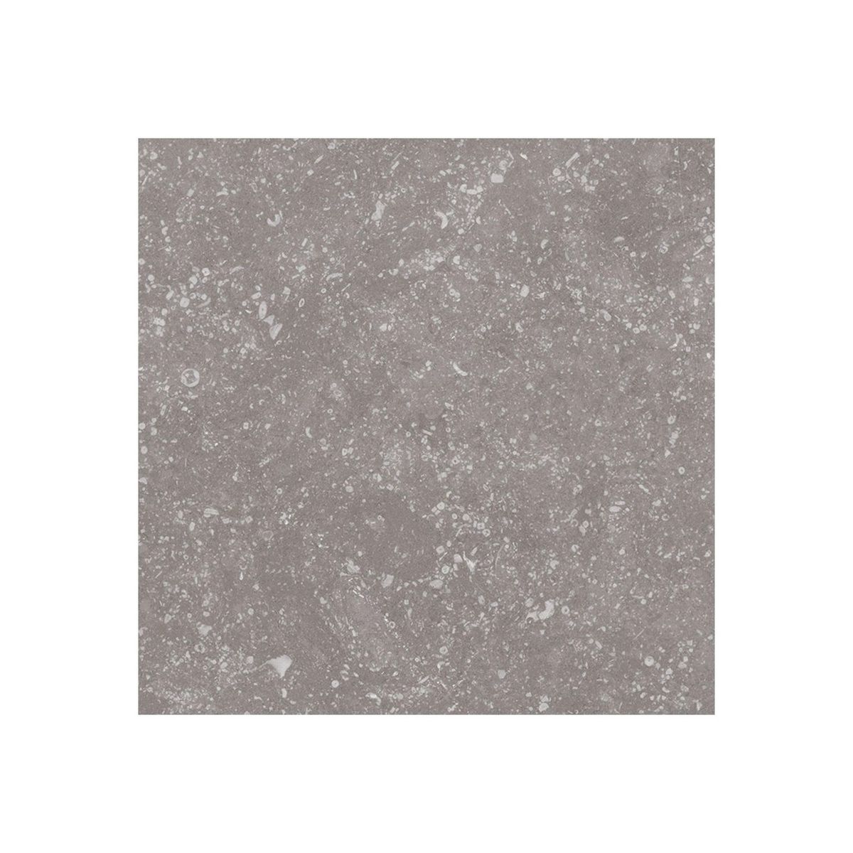 GRAIMAN - Cerámica Coralstone Gris Mate 20x20cm 1m2 para piso