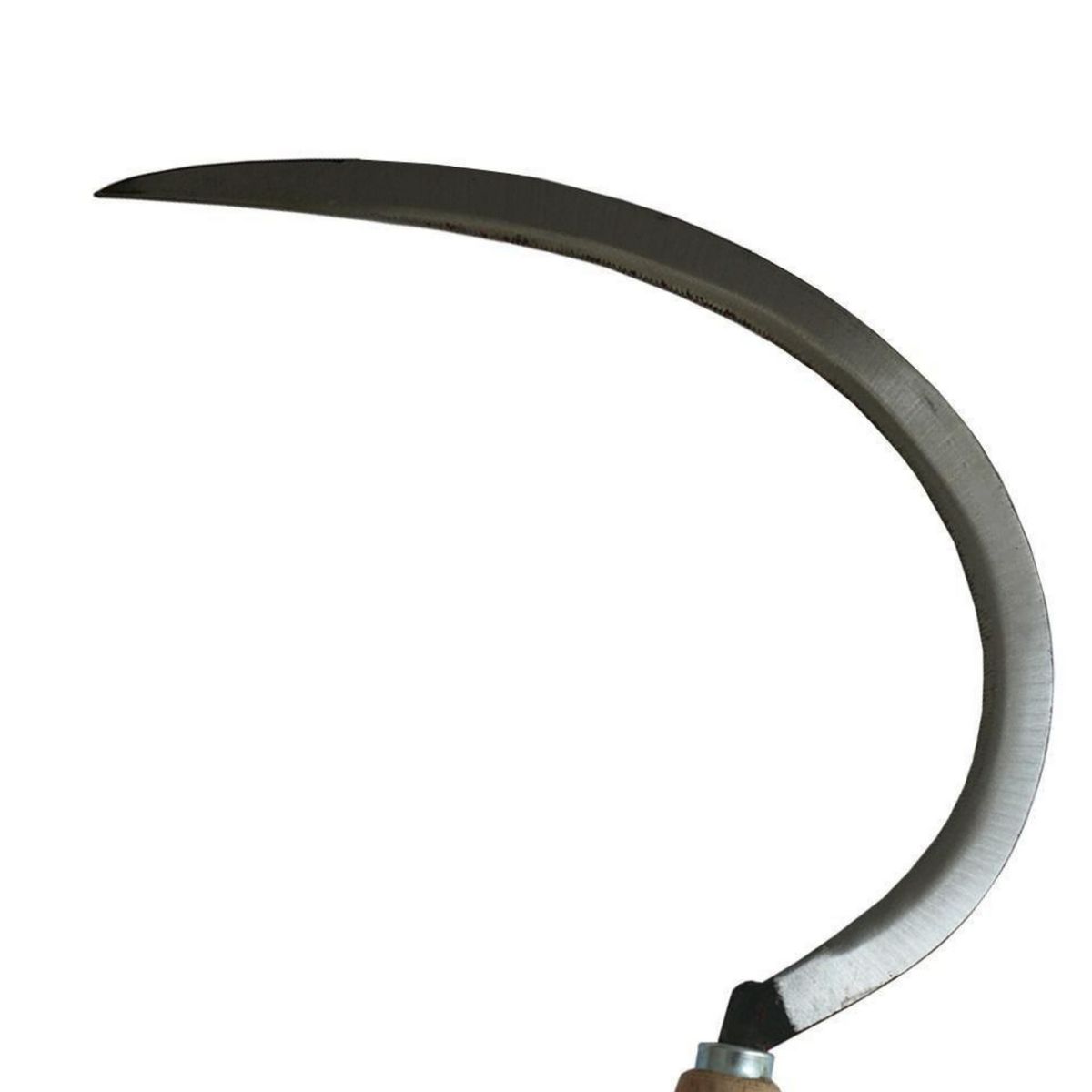 MAJOR - Hoz Dentada Profesional Acero 40x30cm