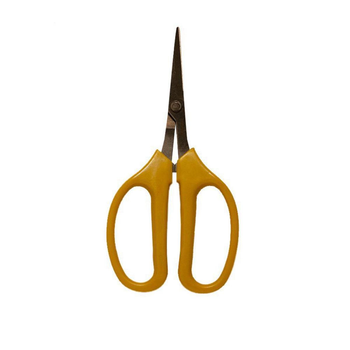 MAJOR - Tijera para Cosecha Acero 1.5x20cm