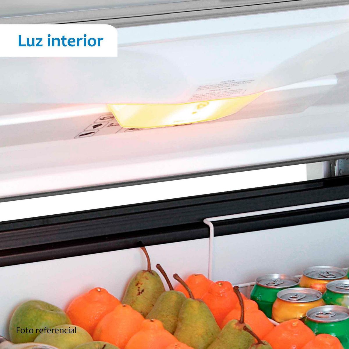 COLDEX - Congeladora Coldex 247 Lt CH10 Silver