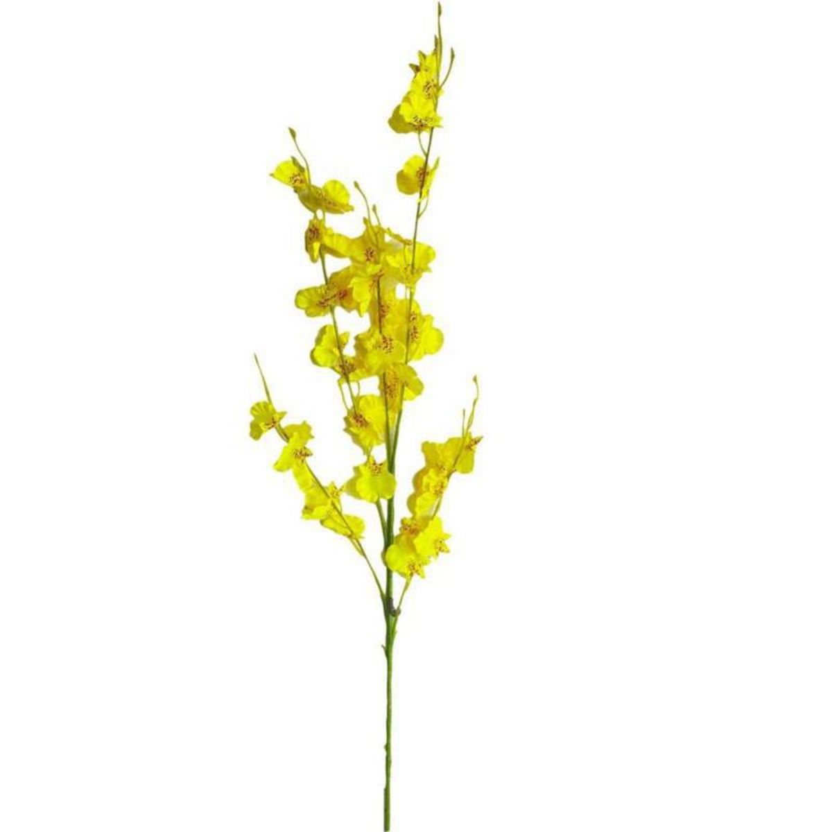 GENERICO - Orquídea Lluvia de Oro Amarillo