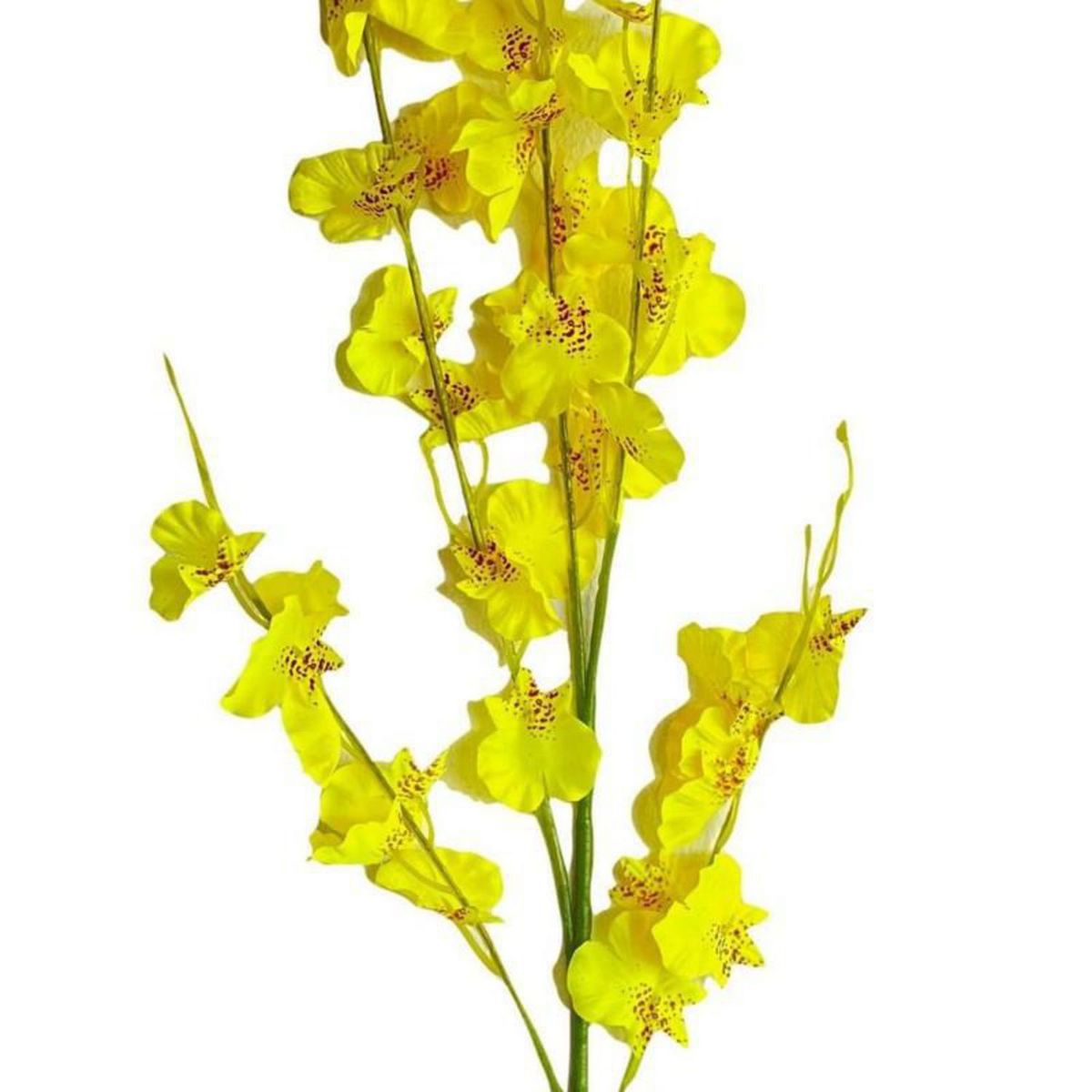 GENERICO - Orquídea Lluvia de Oro Amarillo