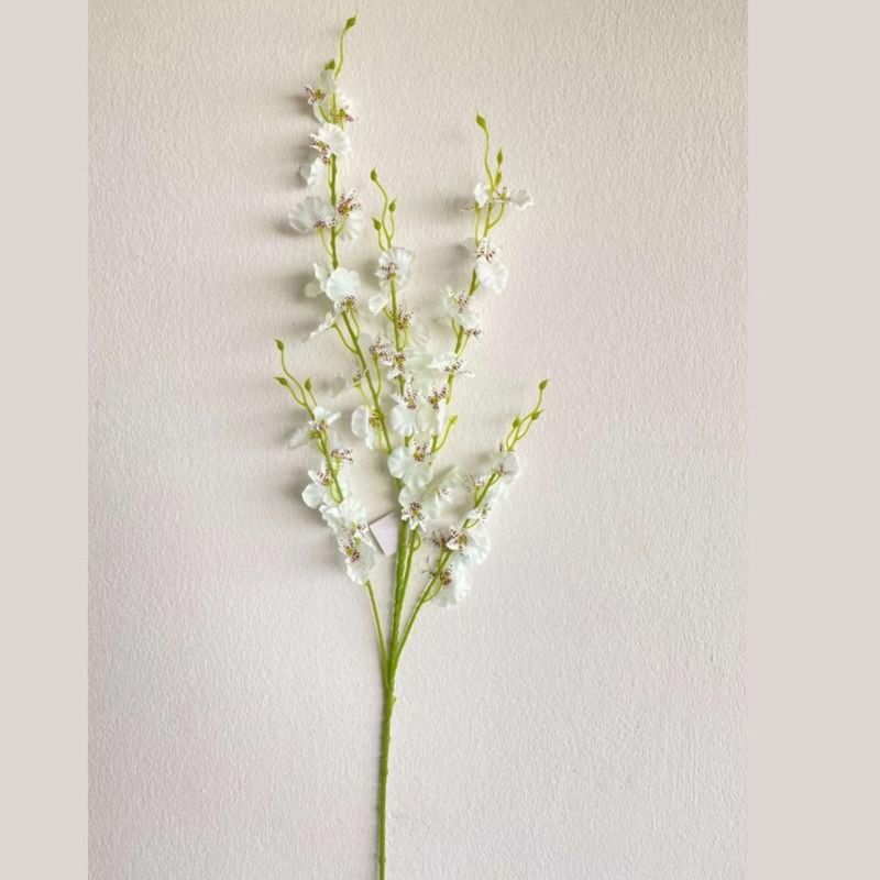 GENERICO - Orquídea Lluvia de Oro Blanco