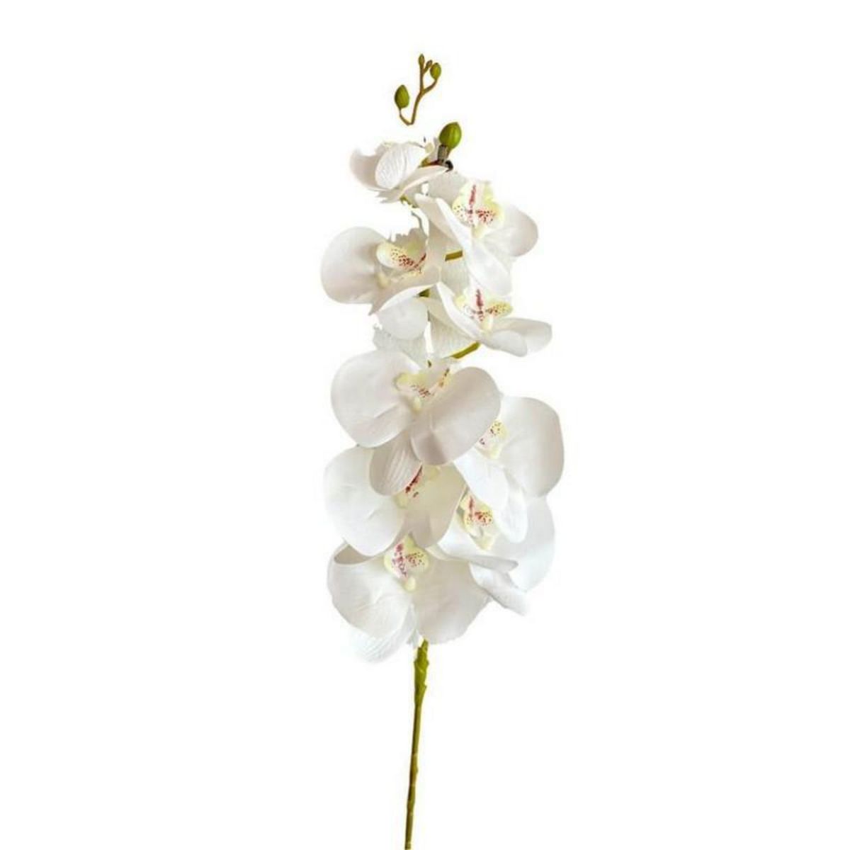 GENERICO - Orquídea Grande Blanco