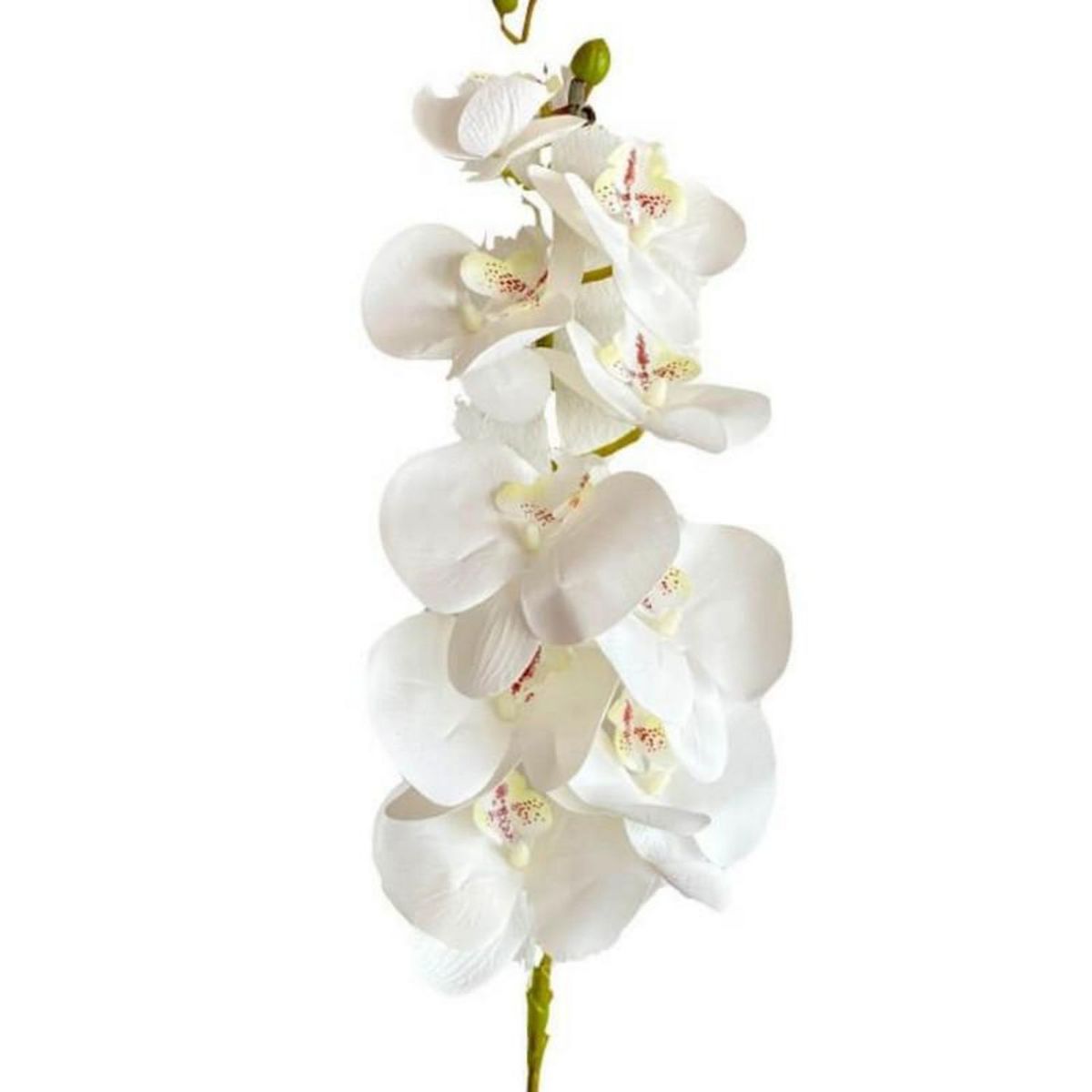 GENERICO - Orquídea Grande Blanco