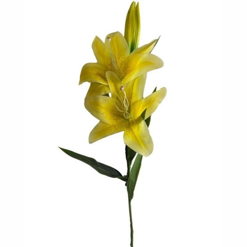 GENERICO - Lirio Grande Amarillo