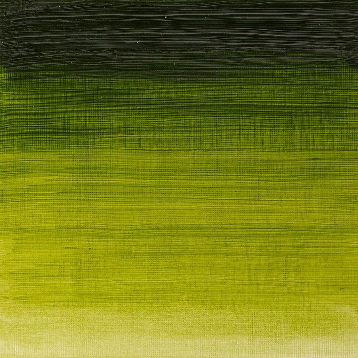 FABER CASTELL - Óleo Winton Verde Vejiga 37ml