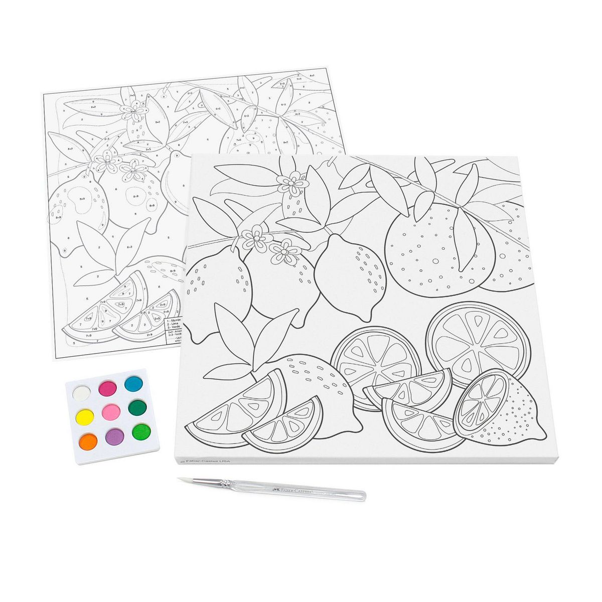 Lienzo Paint By Number Frutas + 9 Acuarelas, marca FABER CASTELL - Foto 2