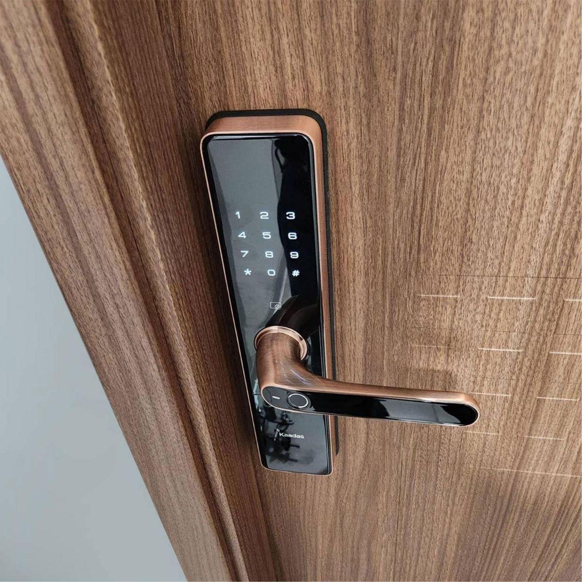 KAADAS - Cerradura Digital Kaadas Black S500