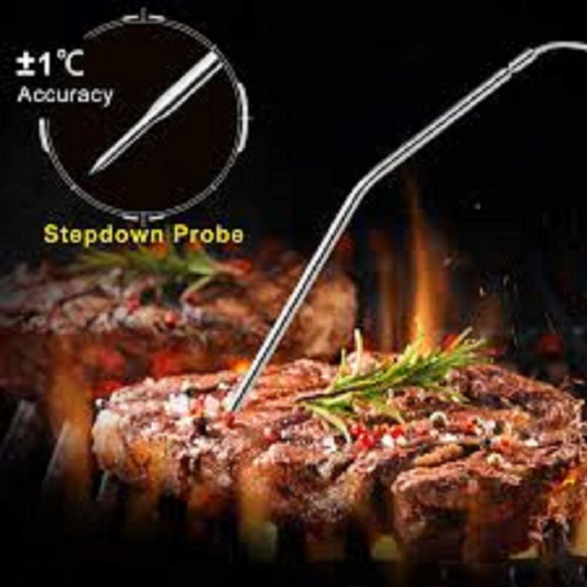 MR GRILL - Termómetro Digital Con Mando A Distancia Negro