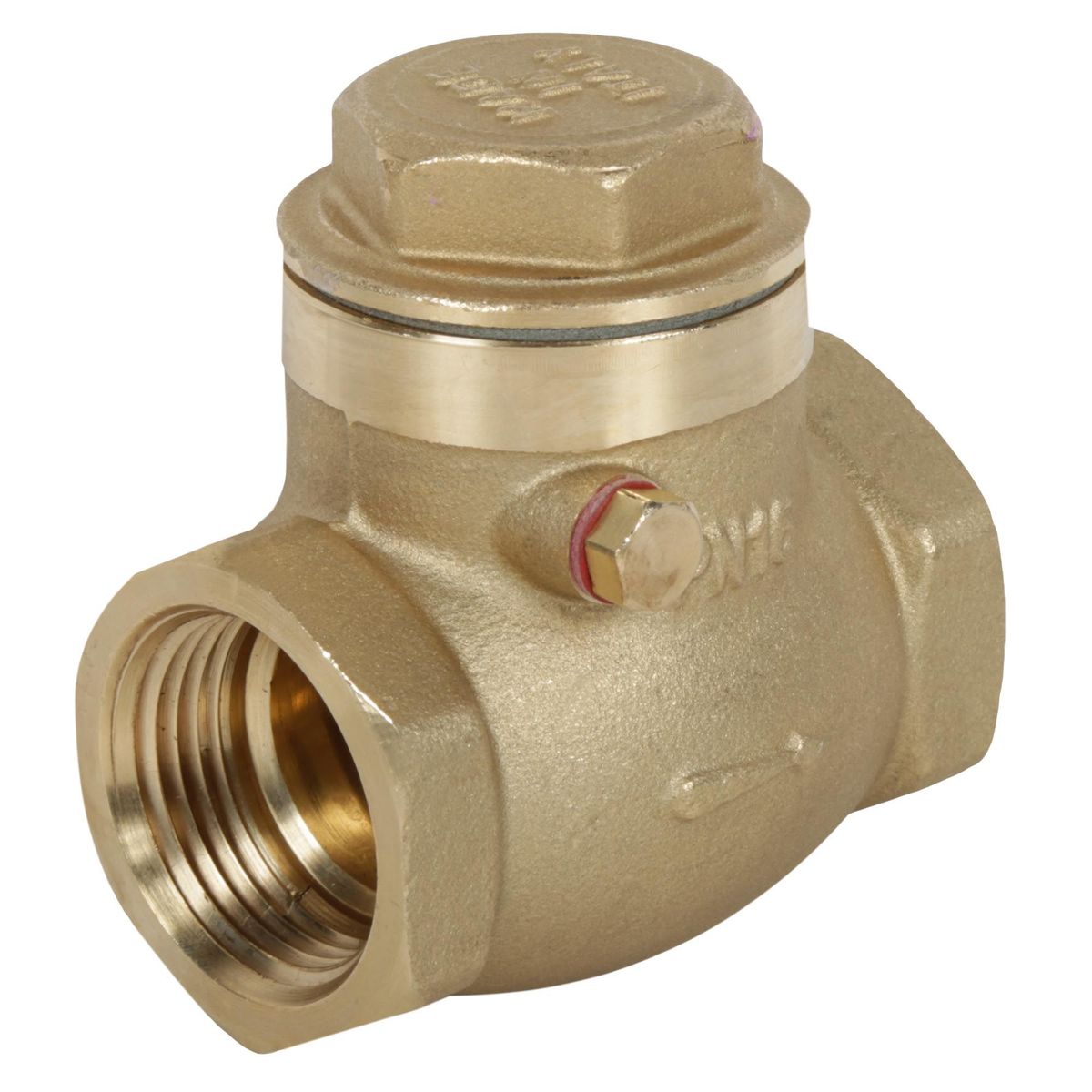 CIM - Válvula Check Swing 1"