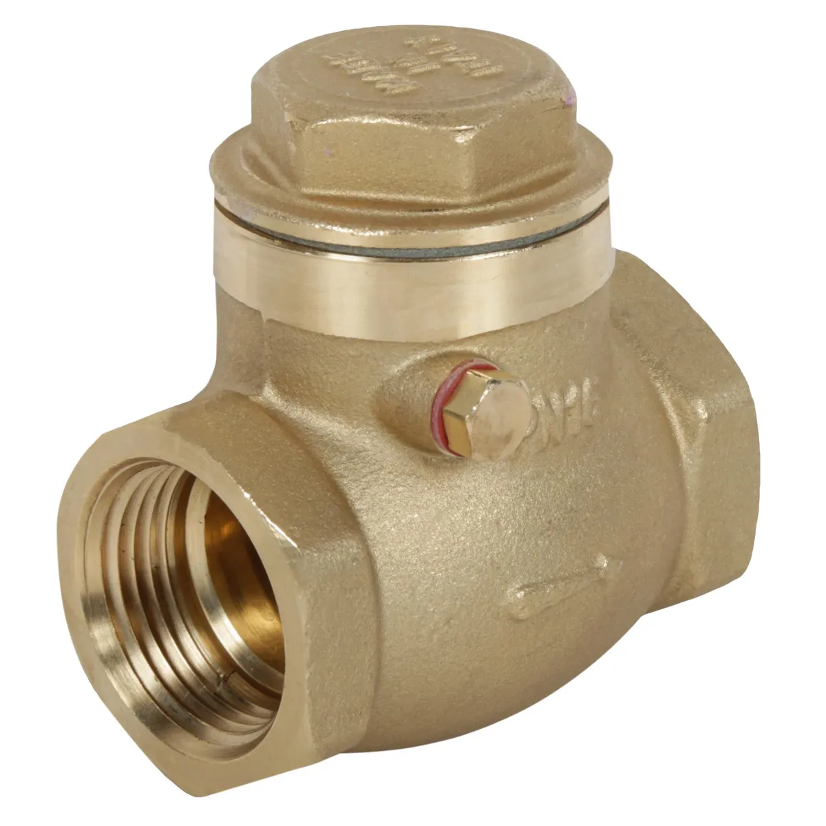 CIM - Válvula Check Swing 1"