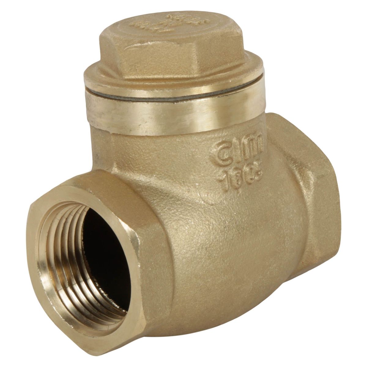 CIM - Válvula Check Swing 1"