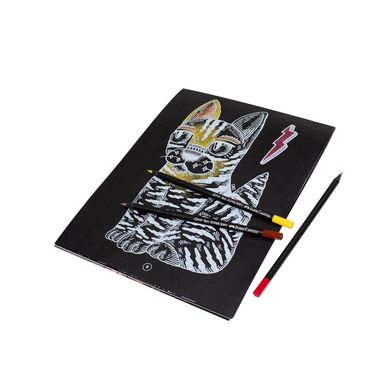 Set Black Pack Cake + EcoLpiz