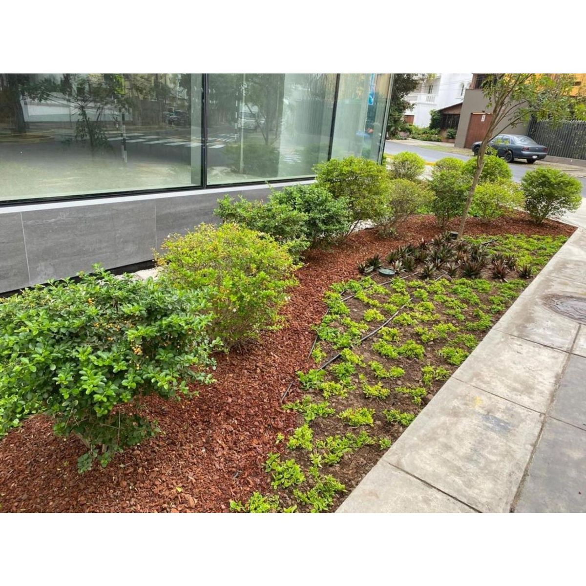 MULCH AND GARDEN - Mulch Corteza de Pino 2-4 cm 5kg