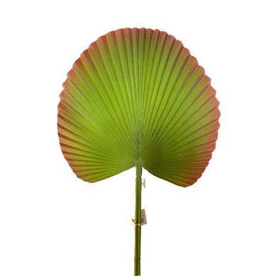 Hoja de Abanico Verde