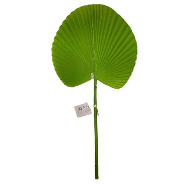Hoja de Abanico Verde