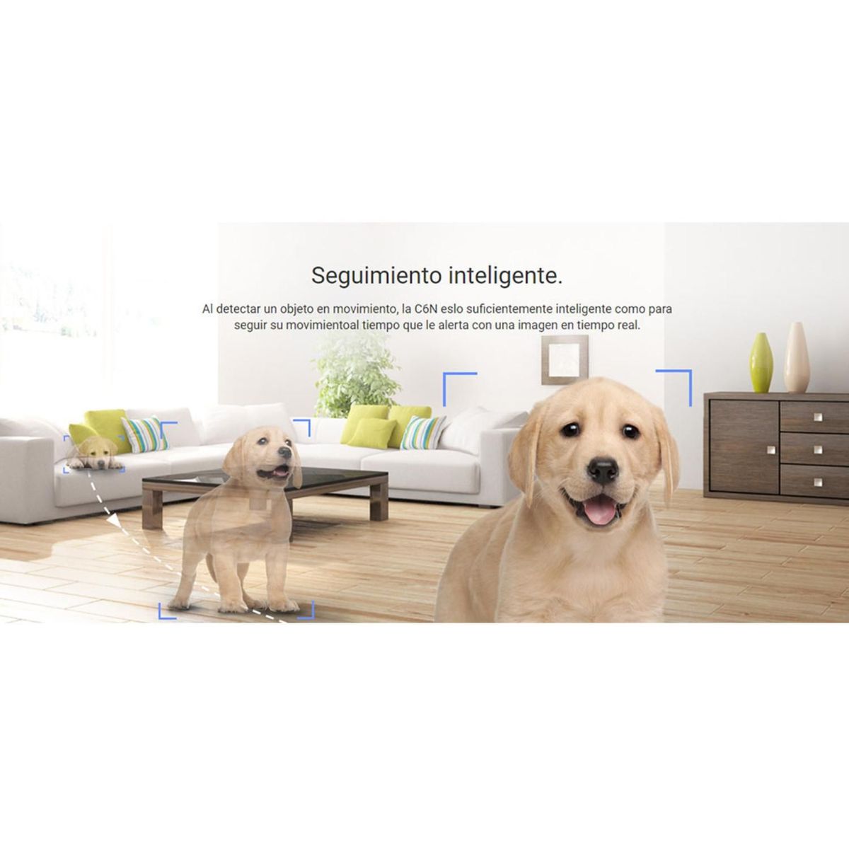 EZVIZ - Cámara WiFi Inalámbrica Full HD Gira 360° C6N micro SD 256GB