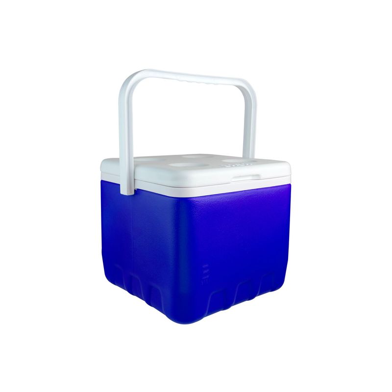 BASA - Cooler Basa Azul 8.5 L