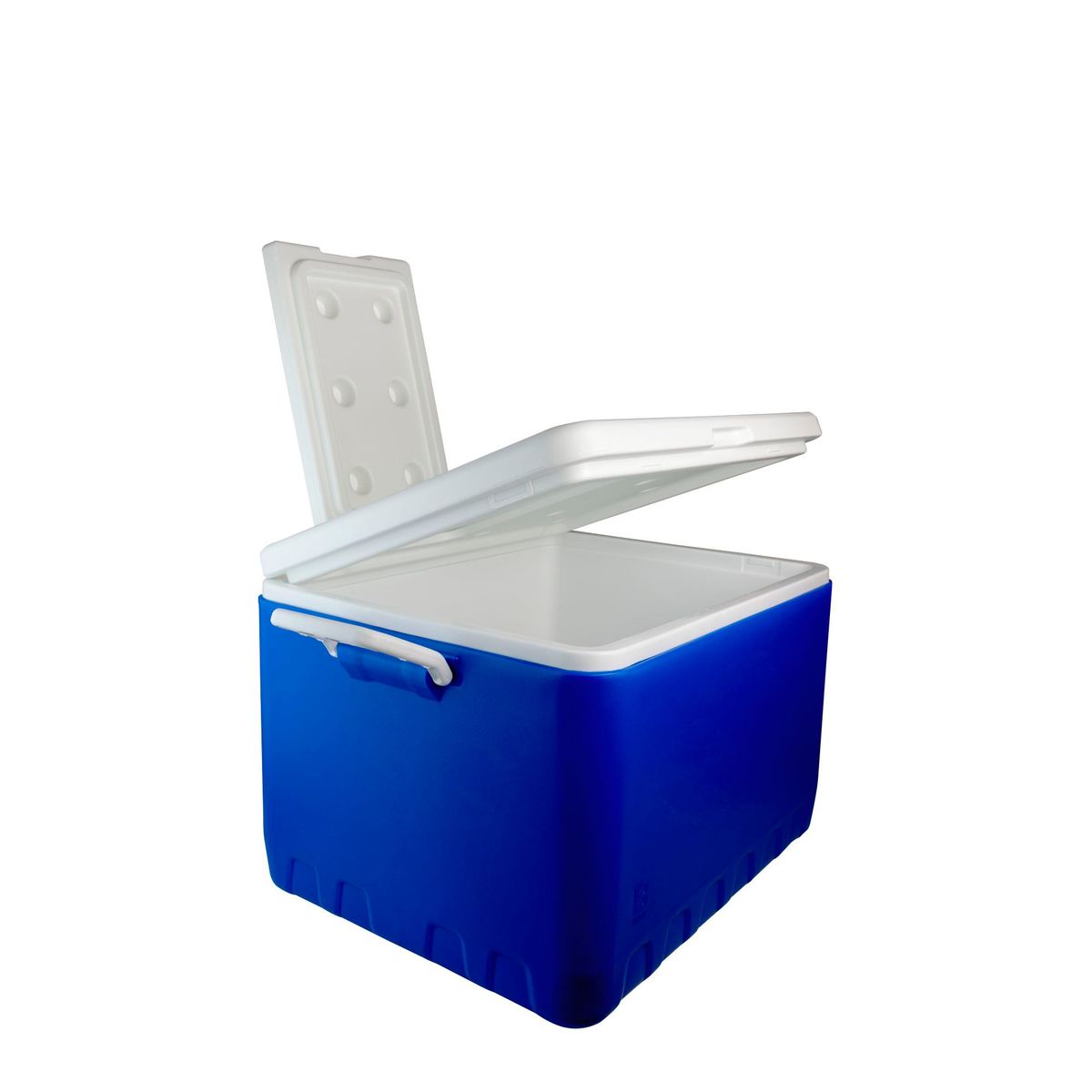 BASA - Cooler Basa Azul 53 Litros
