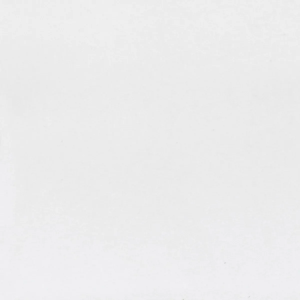  - Mosaico Empastado Blanco 20x20cm