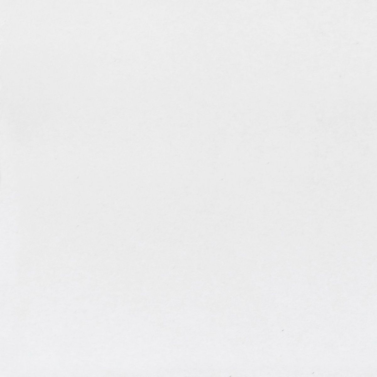  - Mosaico Empastado Blanco 20x20cm