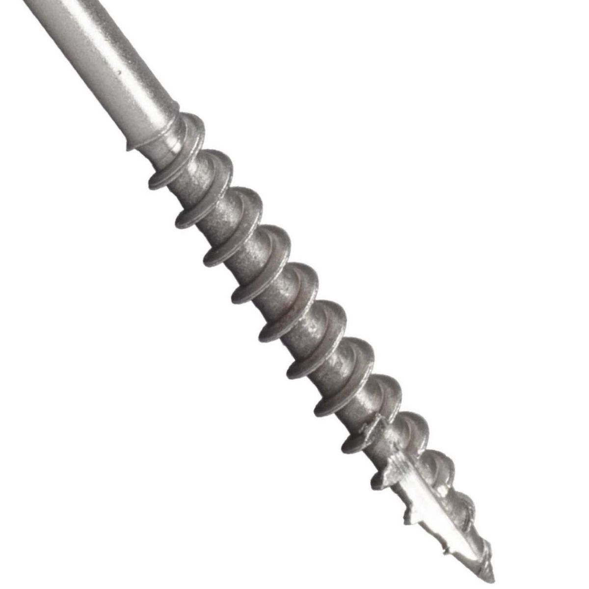 MAMUT - Tornillo Fachada Cilíndrica Inoxidable 50x45 5 unid