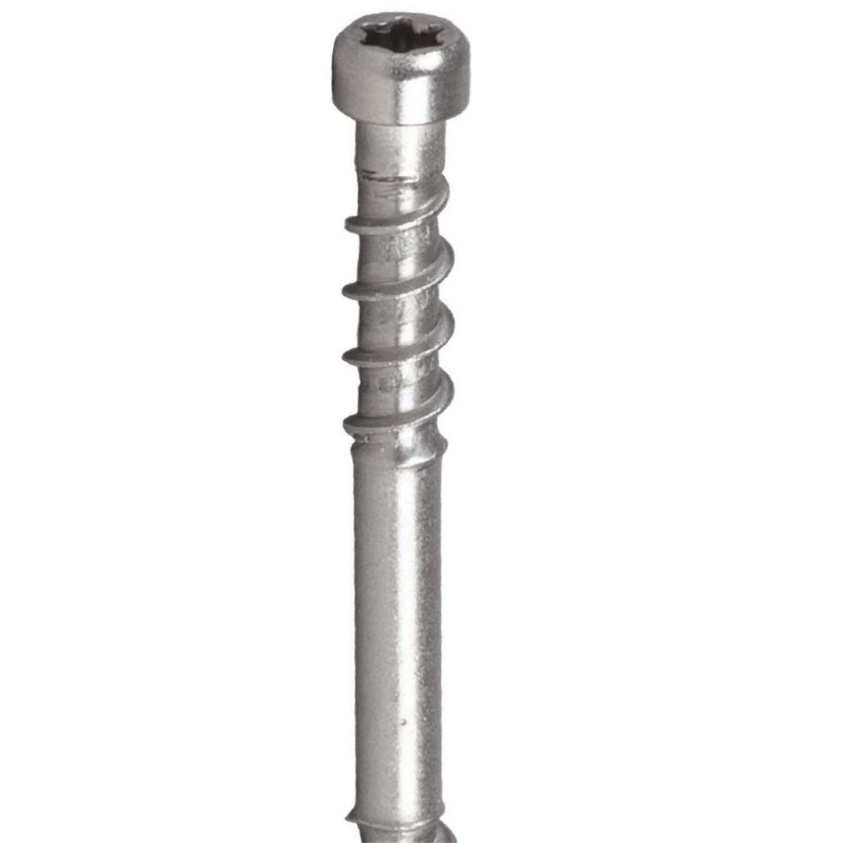 MAMUT - Tornillo Fachada Cilíndrica Inoxidable 50x45 5 unid