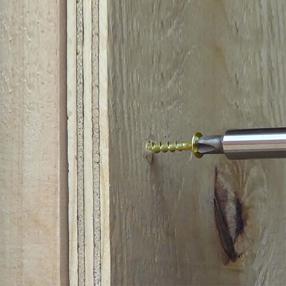 MAMUT - Tornillo para Drywall Rosca Gruesa CRS 6x1 5 unid