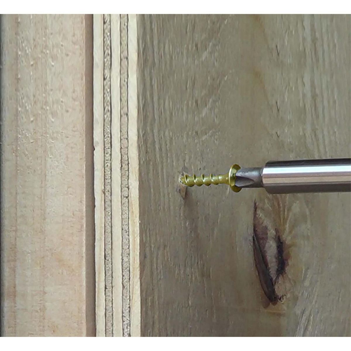 MAMUT - Tornillo para Drywall para Madera CRS 6x1 5/8 5 unid