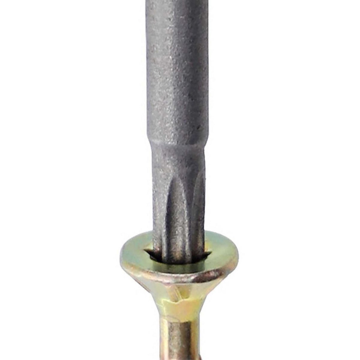 MAMUT - Punta TorxDelgada T20x50 mm. 1 unid.