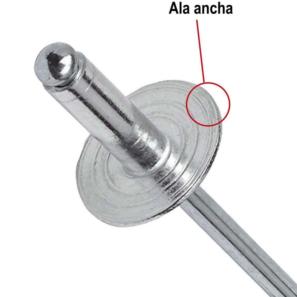 Remache Tipo Pop Ala Ancha Inoxidable M4.8x21 5 unid., marca MAMUT - Foto Principal