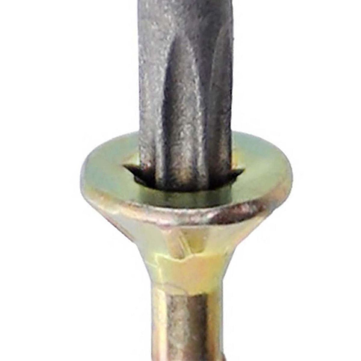 MAMUT - Punta TorxT20x25 mm. 1 unid.