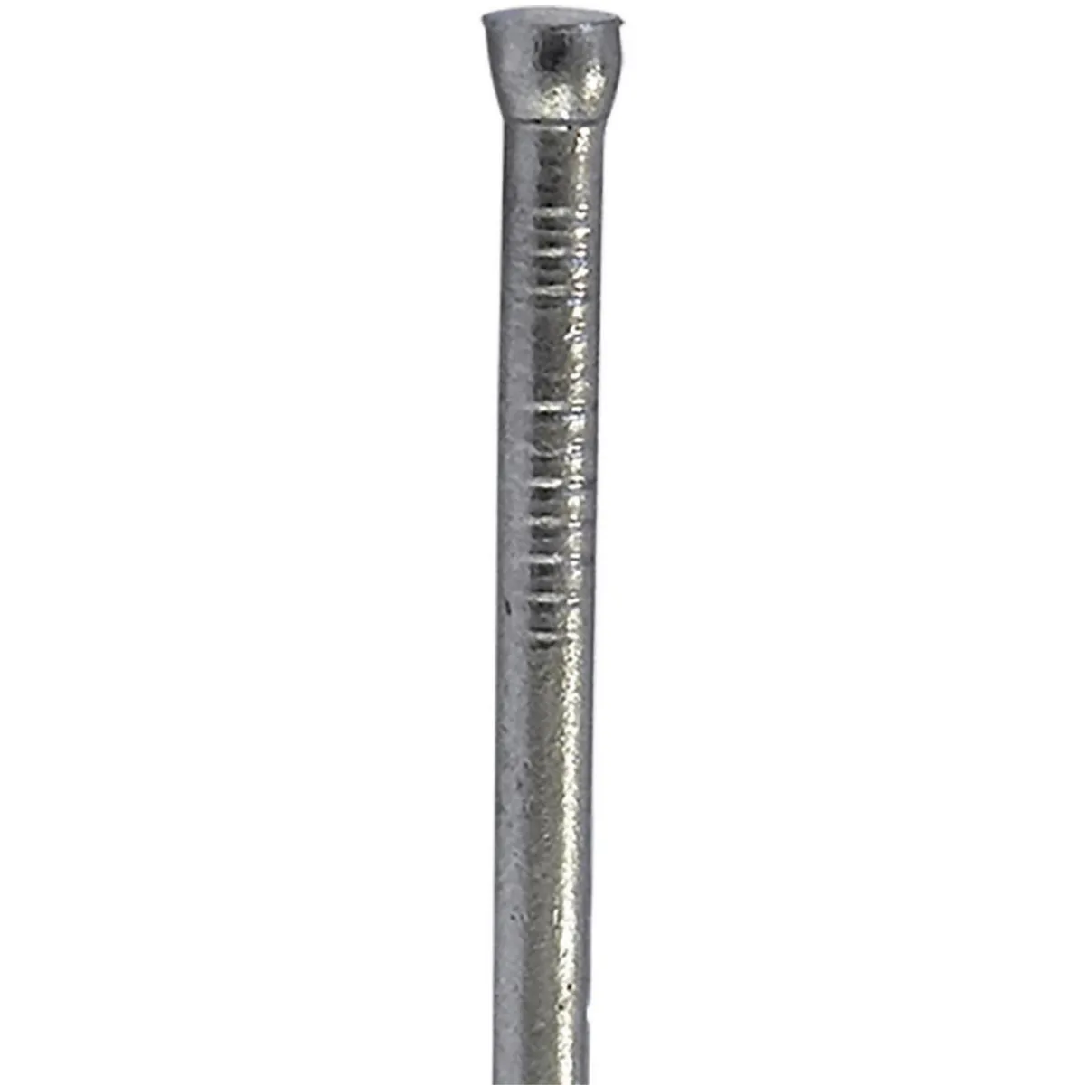 MAMUT - Clavo Punta Templada 1.6x1 1/4 10 unid