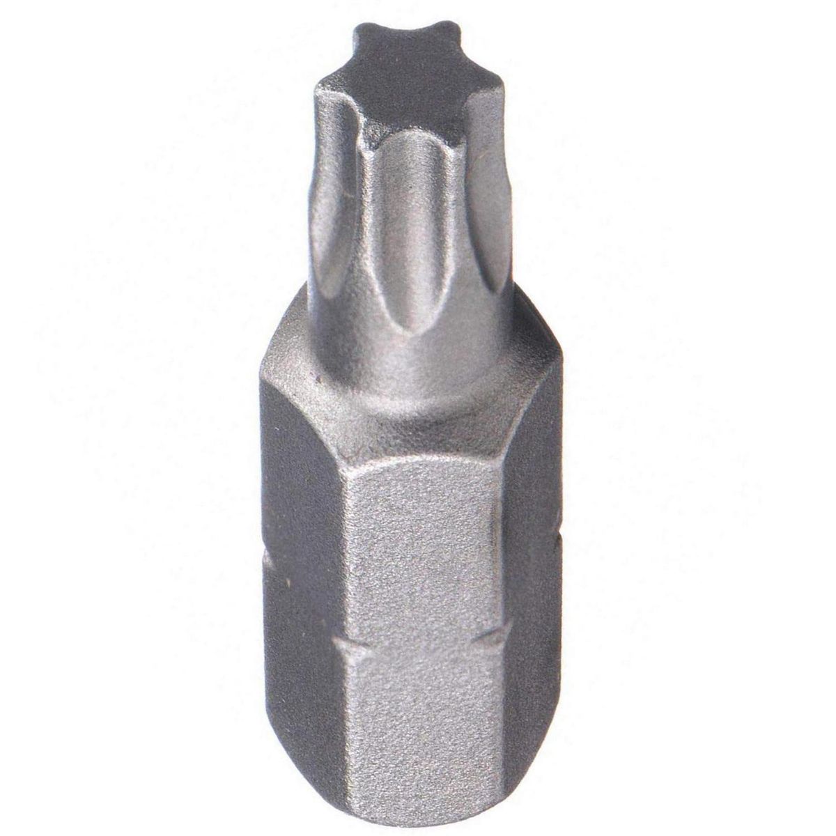 MAMUT - Punta TorxT10x25 mm. 1 unid.