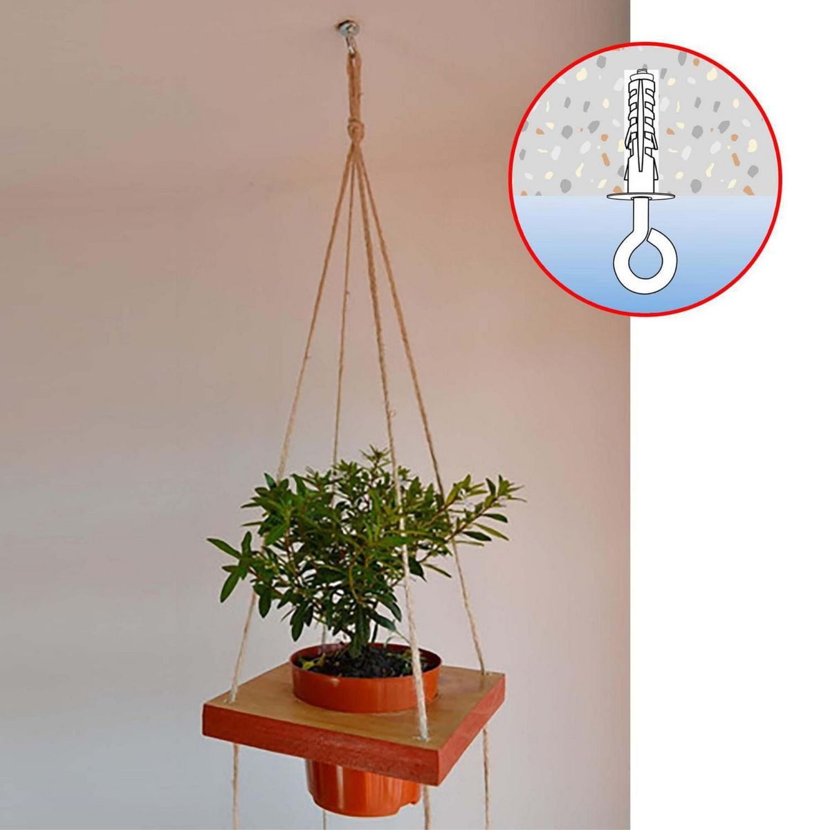 MAMUT - Tarugo con Argolla 9x50 mm. 2 unid.