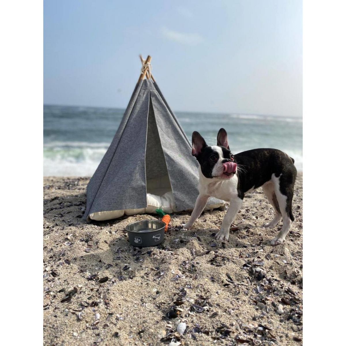 PETIZOOS - Tipi para Perro Gris Talla L