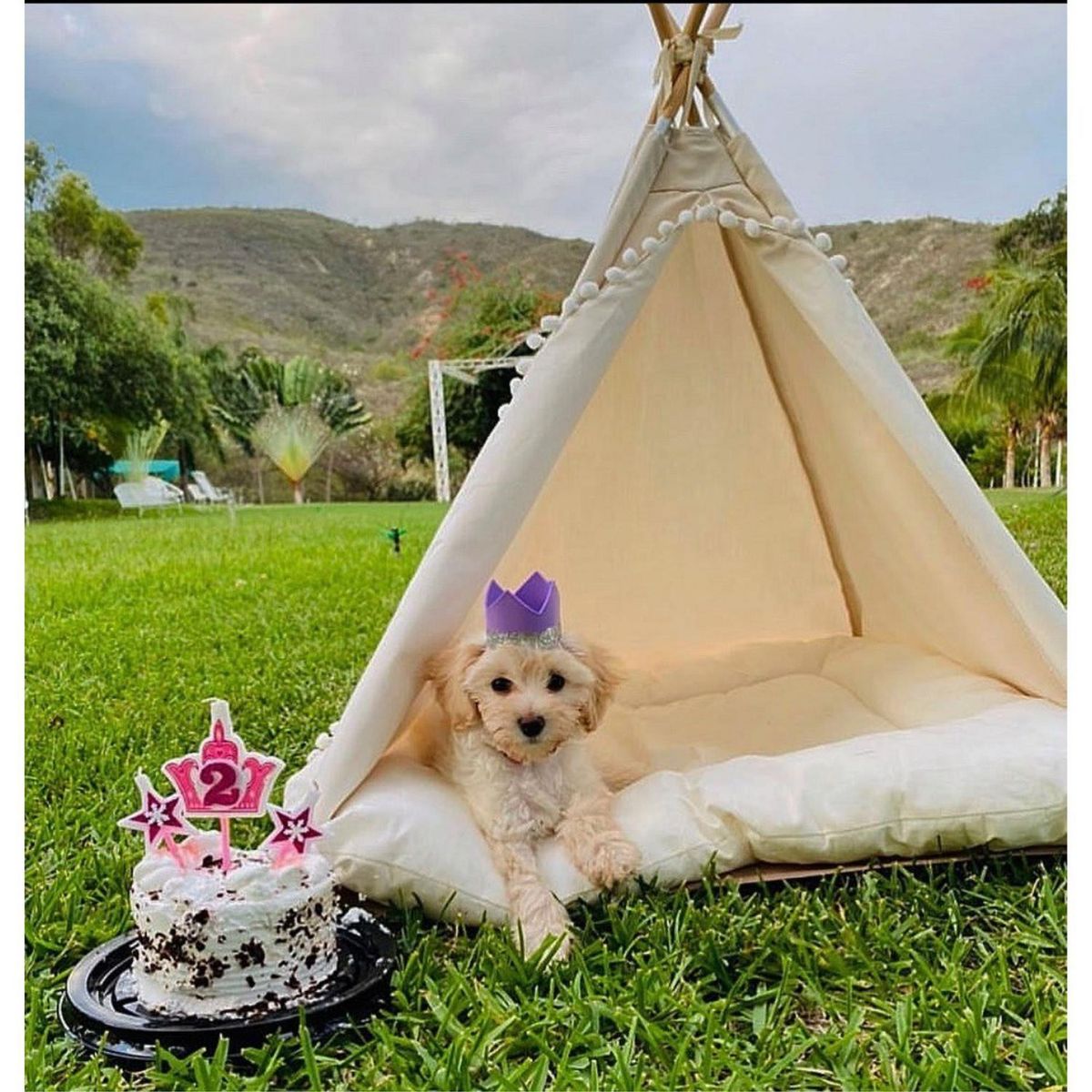 PETIZOOS - Tipi Pompom para Perro Blanco Talla M
