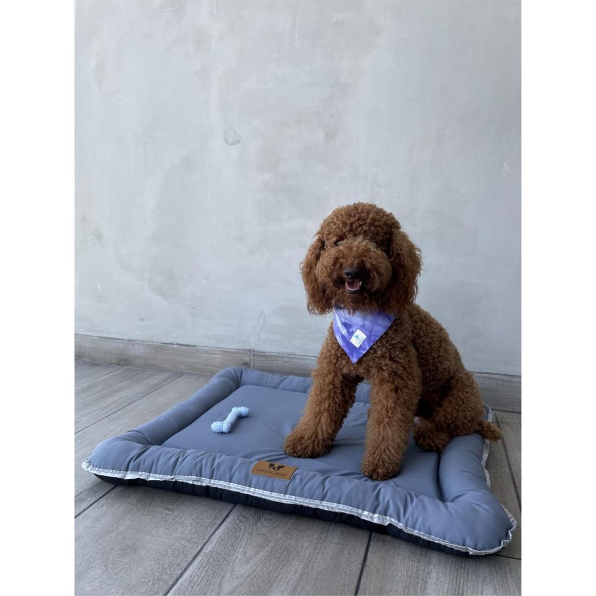 PETIZOOS - Cama para Perro Flat Gris Talla XL