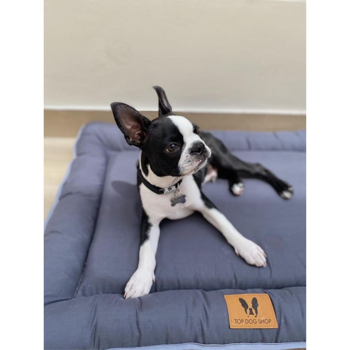 PETIZOOS - Cama para Perro Flat Gris Talla XL