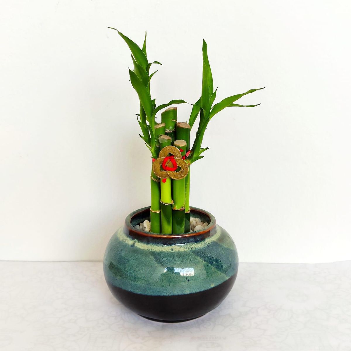 KOKEMARU - Bowl Bambú 5 Varas