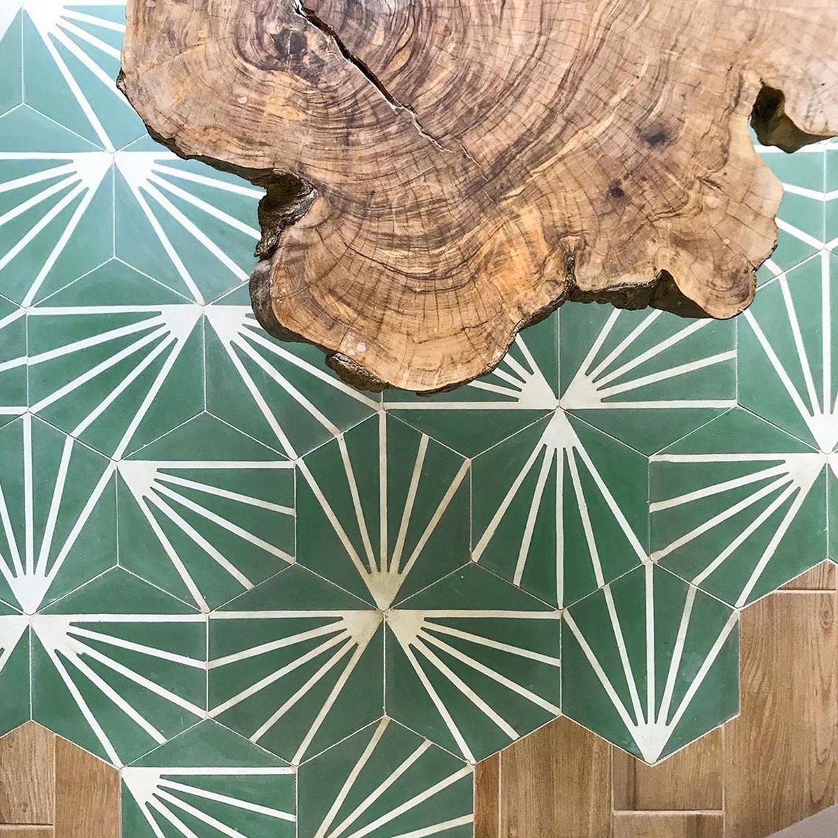  - Mosaico Empastado Hexagonal Shell 24x24cm