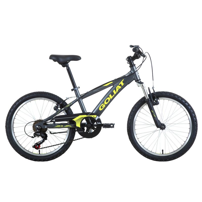 GOLIAT - Bicicleta Nazca 20 Grafito