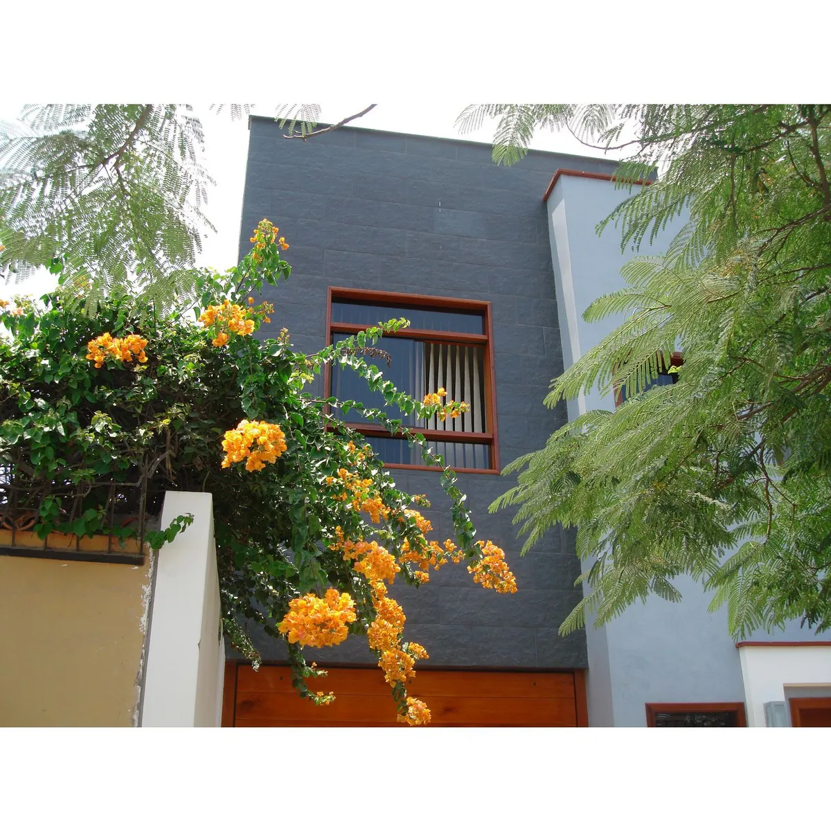 SPAZIO - Laja Cordillera 50 x 30 Carbón 0.30m2