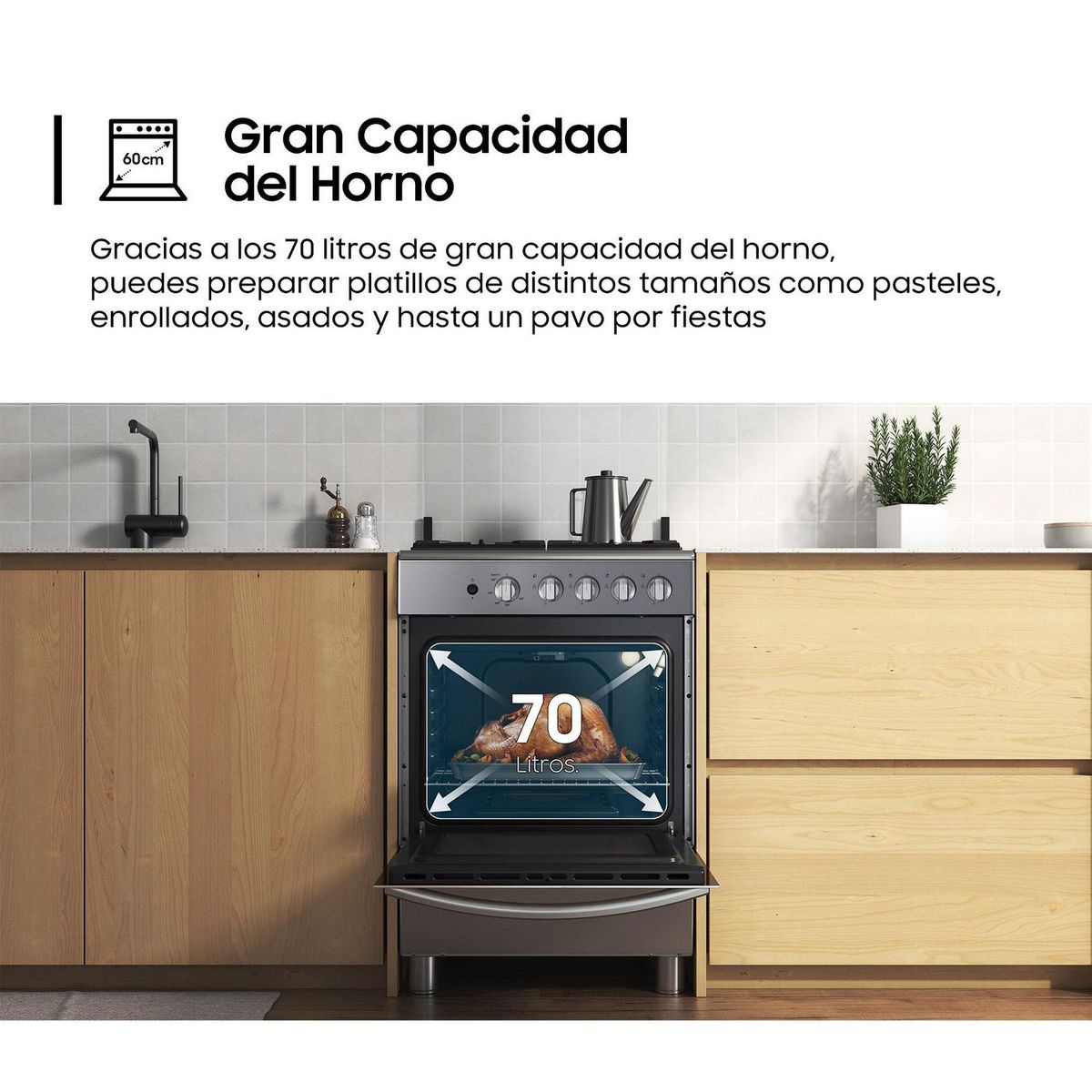 SAMSUNG - Cocina Samsung a Gas 4 Hornillas NX24BG57413S Gris