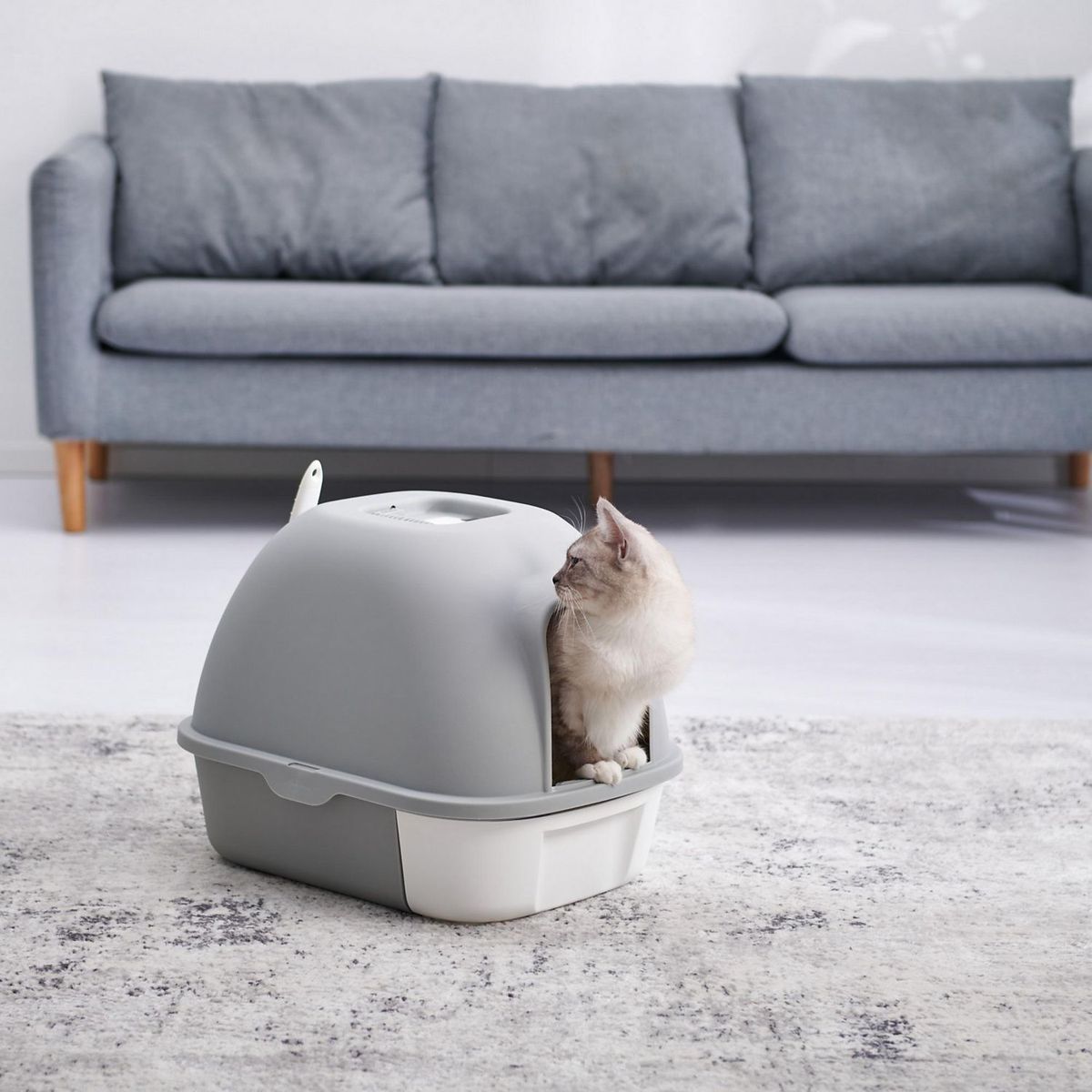  - Alimento Super Premium para Gato One Pollo y Salmón 2kg