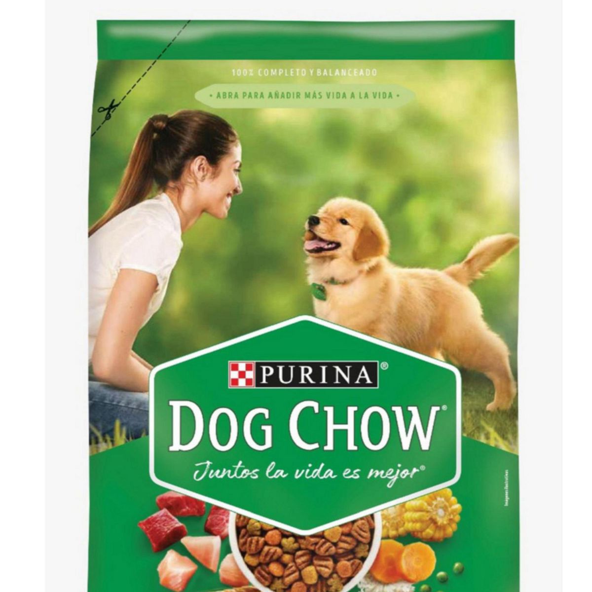 DOG CHOW - Dog Chow Salud Visible CCCH M/G 22.7KG