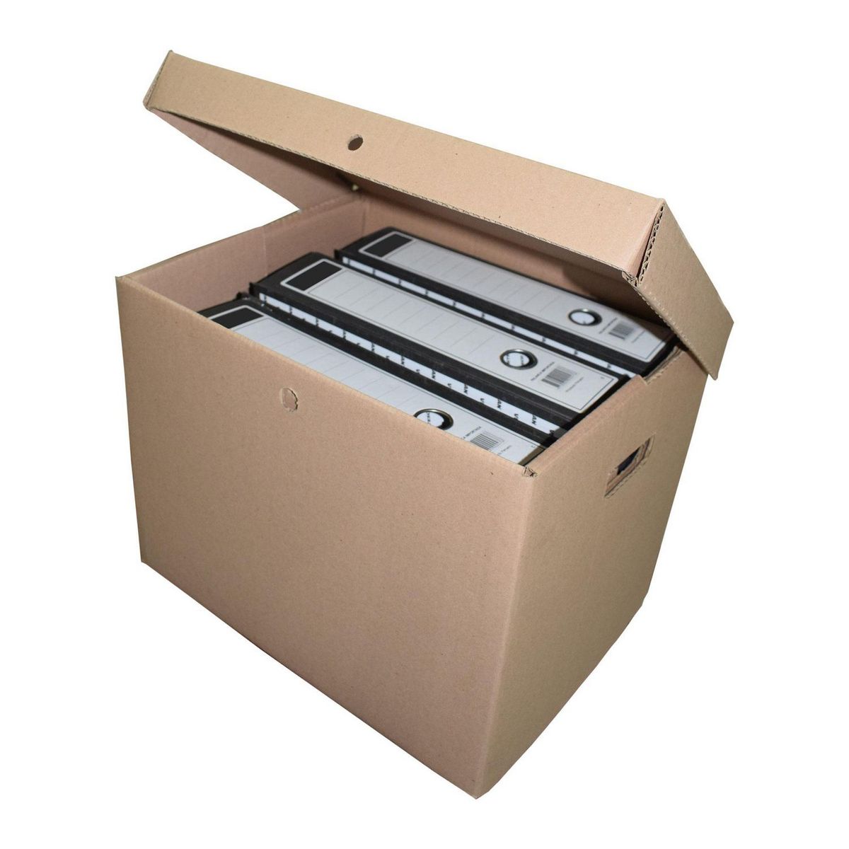 TOPEX - Caja Archivadora 39.5x30.5x30 cm