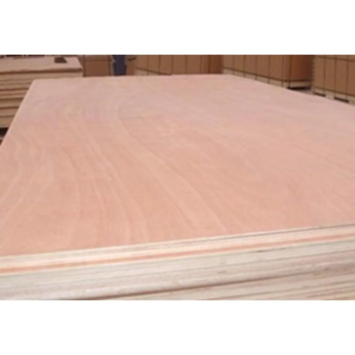  - Triplay tipo Lupuna 10mm 1.22x2.44m