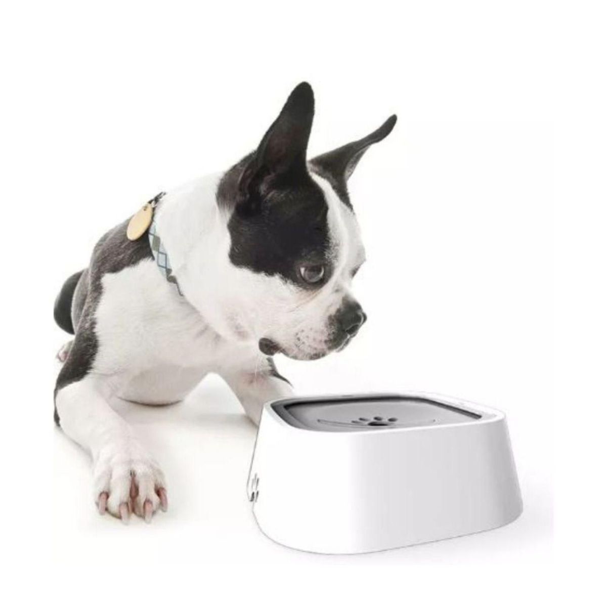 CLAWS & PAWS - Bebedero para Perro Control de Agua 1Lt